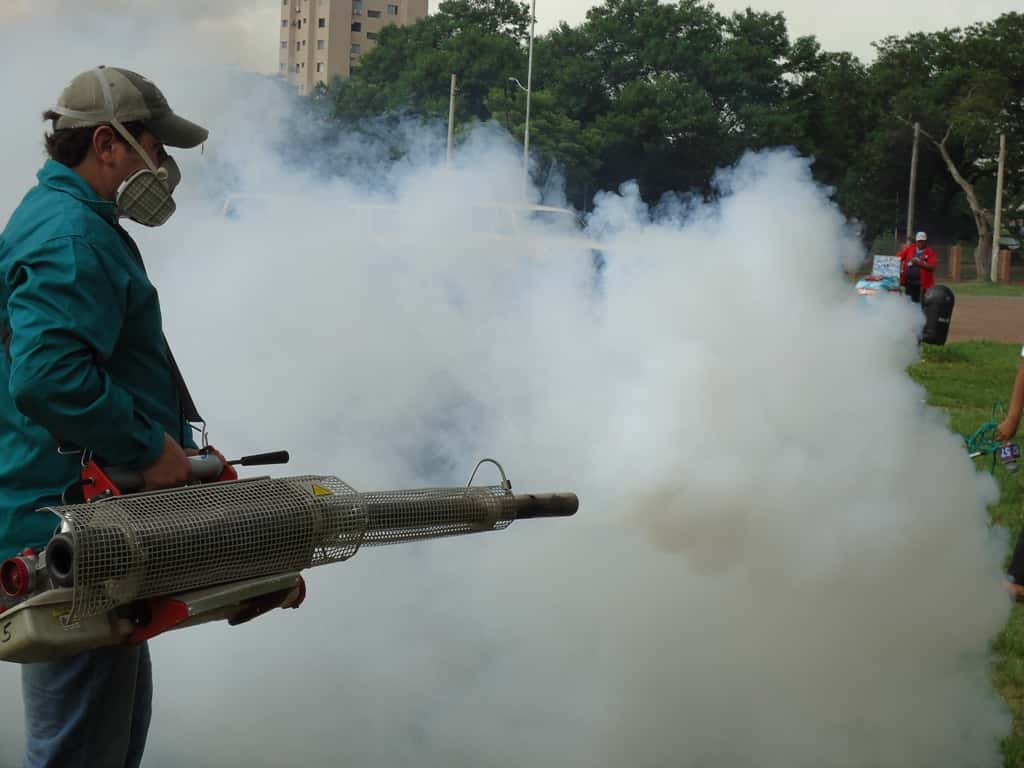 Descacharrización y fumigación: las claves para frenar el dengue