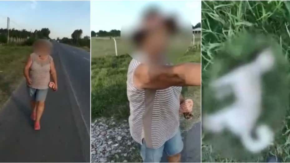 Videos: una mujer estranguló a un perro caniche que la seguía por la ruta