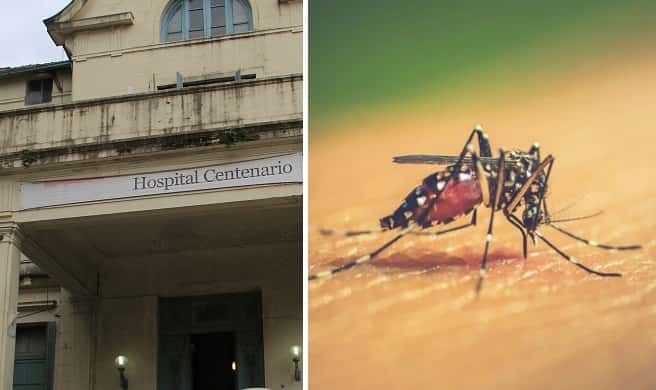  Confirman el segundo caso de Dengue autóctono en Gualeguaychú 