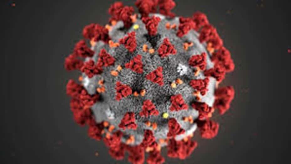 Identificaron un nuevo fármaco que bloquea los efectos del coronavirus