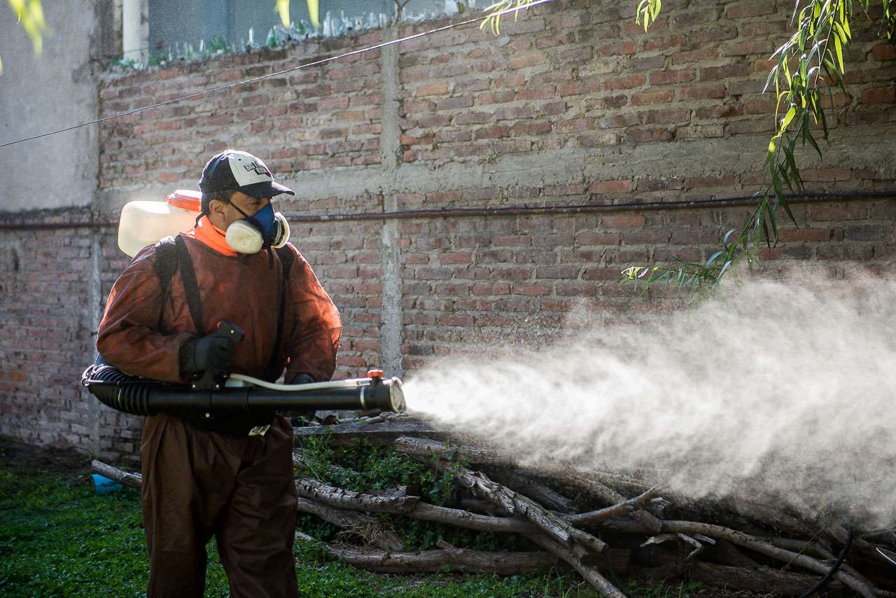Siguen creciendo los casos de dengue en la ciudad: confirmaron 3 nuevos infectados