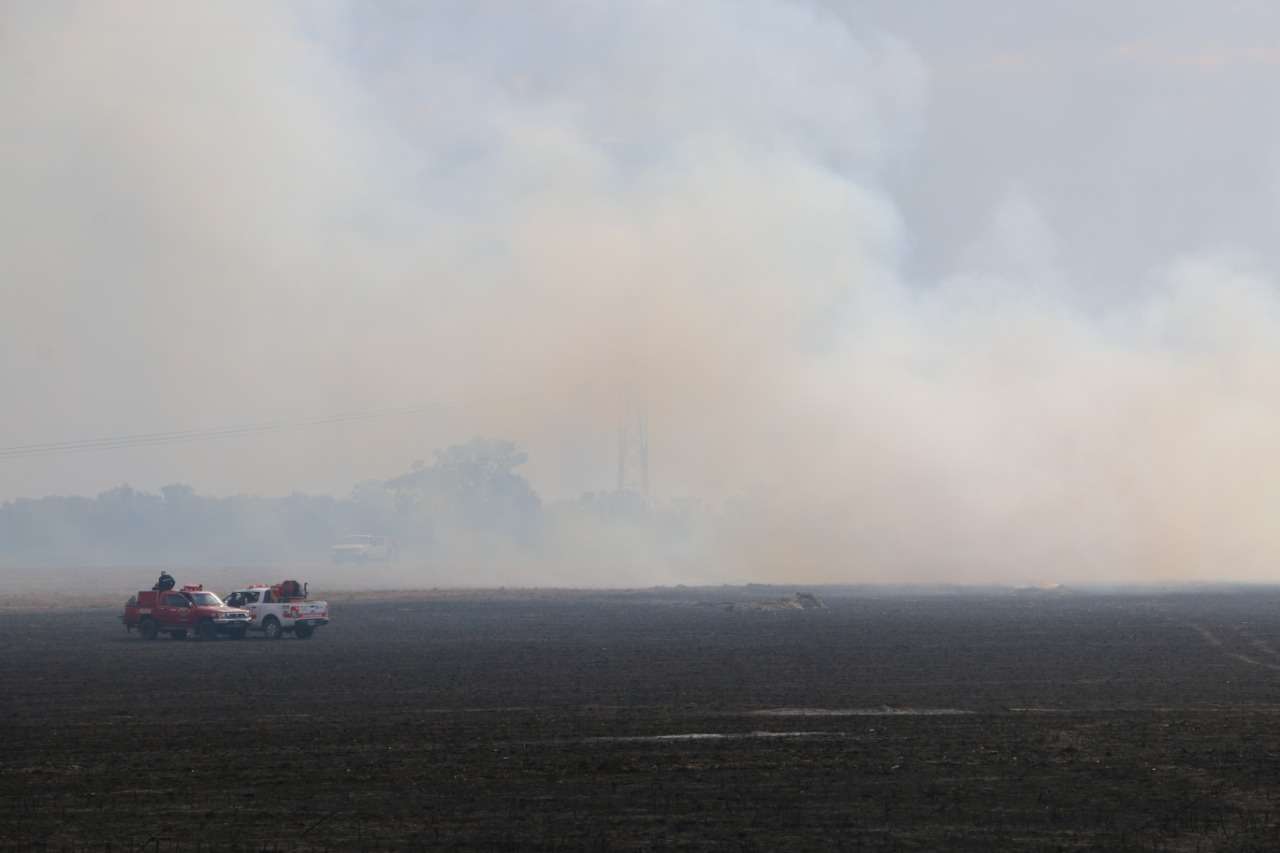 80 hectáreas de campo fueron consumidas por el fuego