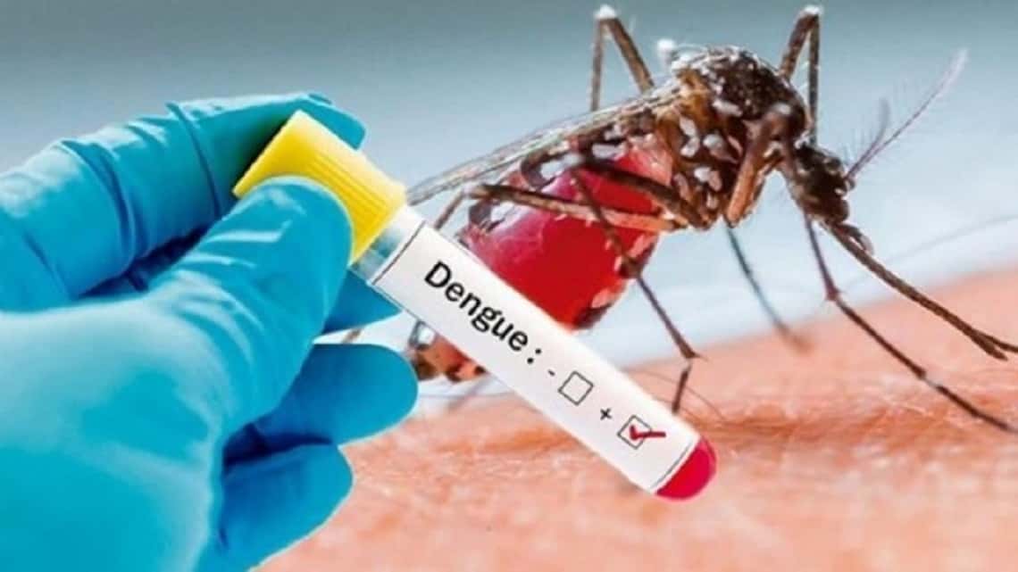 Confirmaron el primer caso de dengue en la ciudad de Urdinarrain