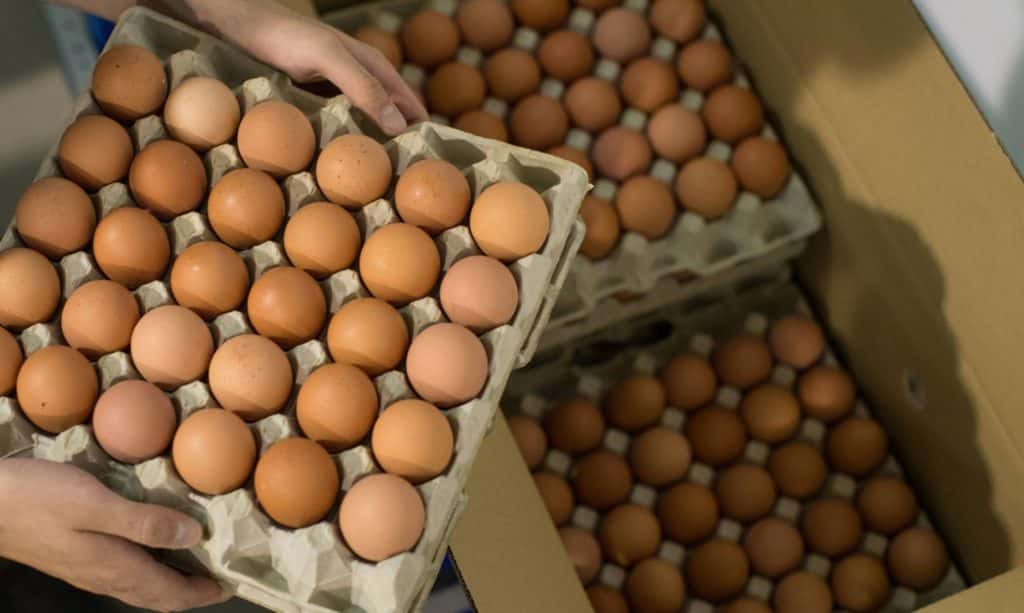 Defensa al Consumidor realizó 17 imputaciones por el elevado precio de los huevos