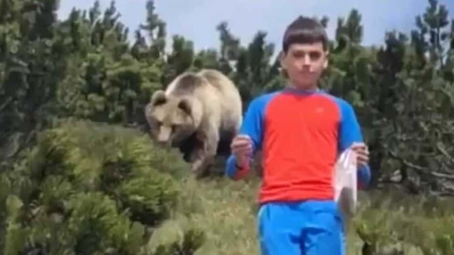 La increíble reacción de un nene perseguido por un enorme oso pardo