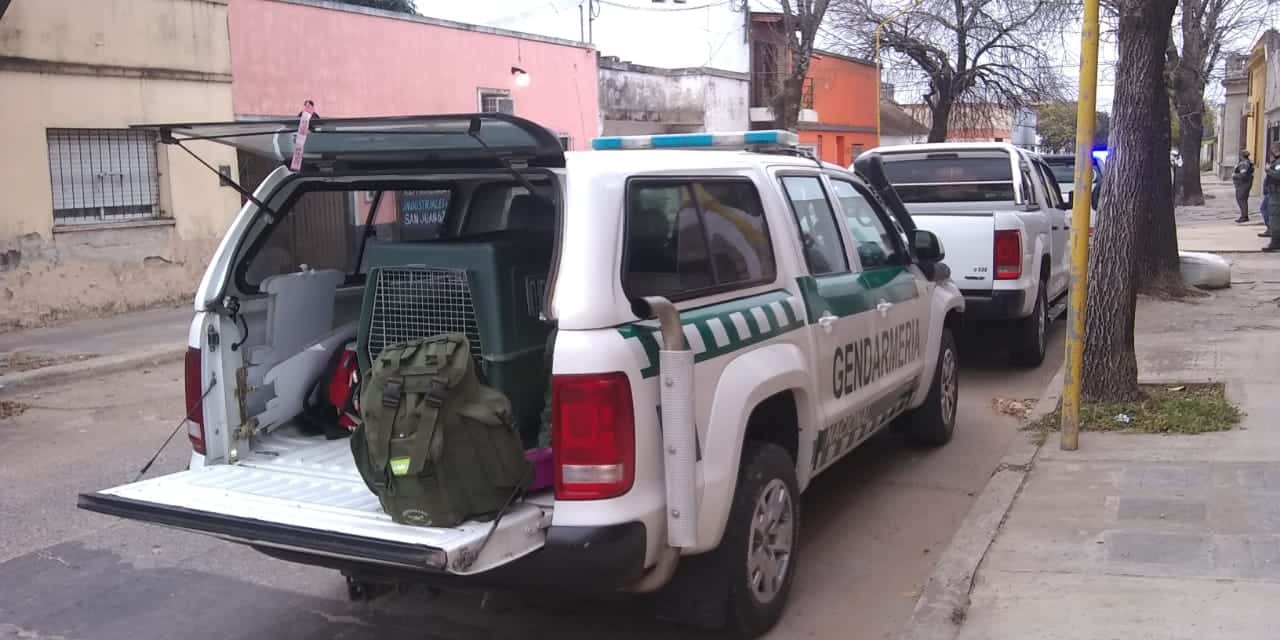 Golpe al narcotráfico: Doce allanamientos simultáneos en Gualeguaychú