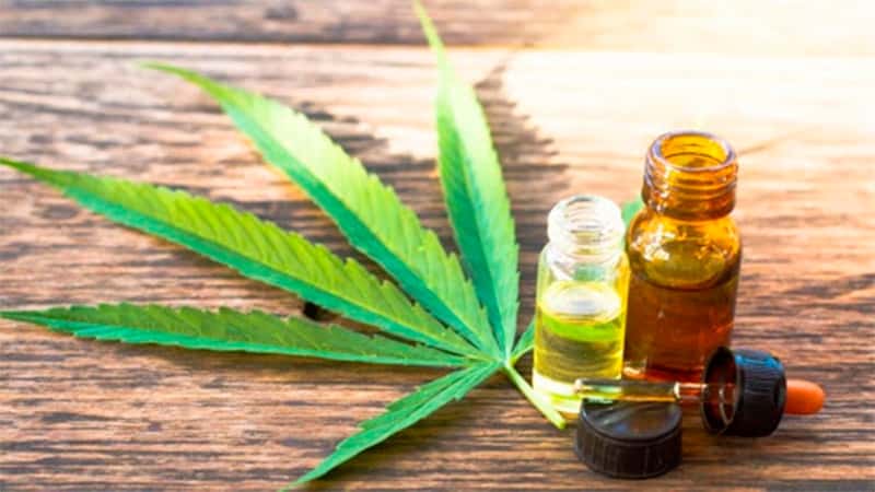 La Ley de Cannabis Medicinal ya tiene media sanción en Entre Ríos