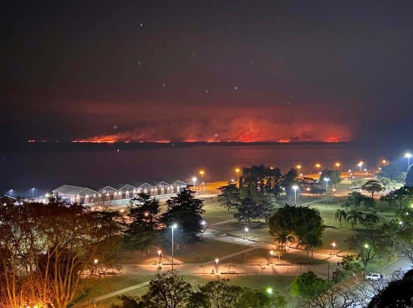 Los incendios en el Delta del Paraná están fuera de control