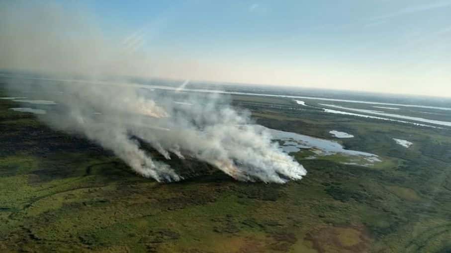 El catastrófico impacto ambiental que tienen las quemas en las islas del río Paraná