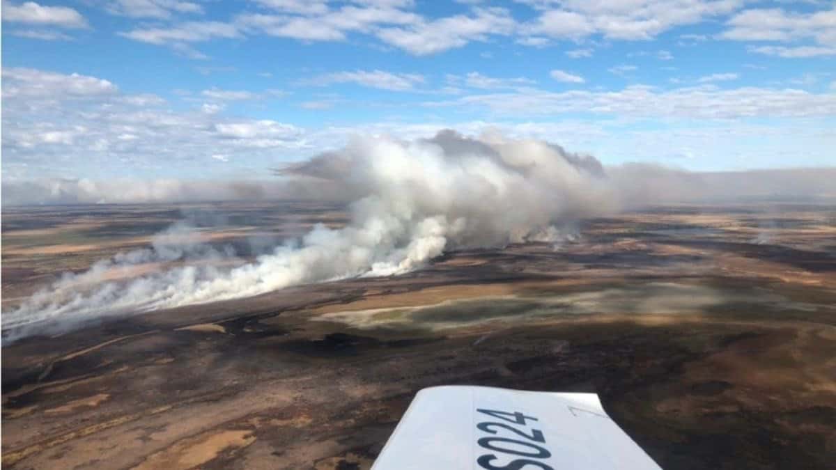 Ruralistas de Entre Ríos culpan a Cabandié por el incendio del Delta del Paraná