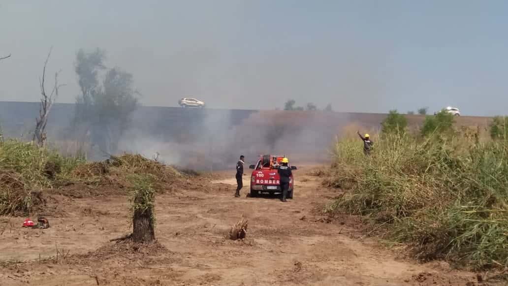 Incendios en el Delta: "La sequía y la bajante del Paraná fueron un combo fatal"