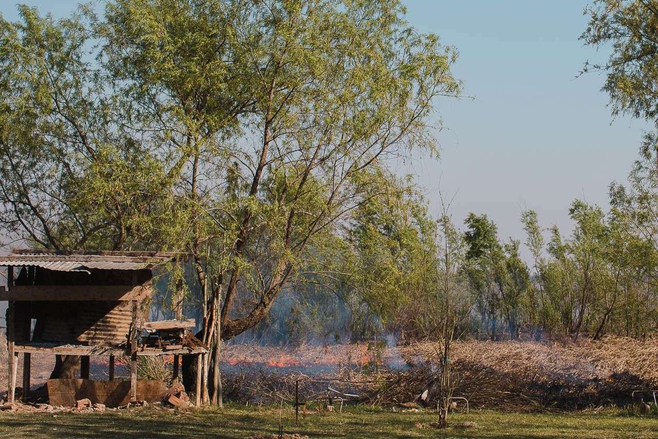 En Paraná denunciaron el desmonte y quema en los humedales del oeste