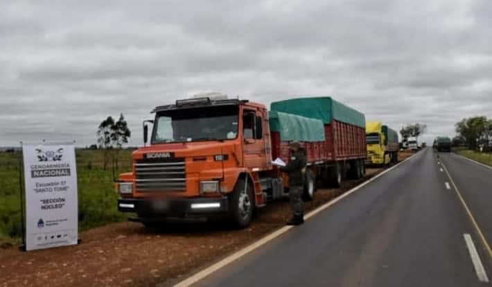Detuvieron a cinco camiones que trasportaban ilegalmente 142 mil kilos de soja