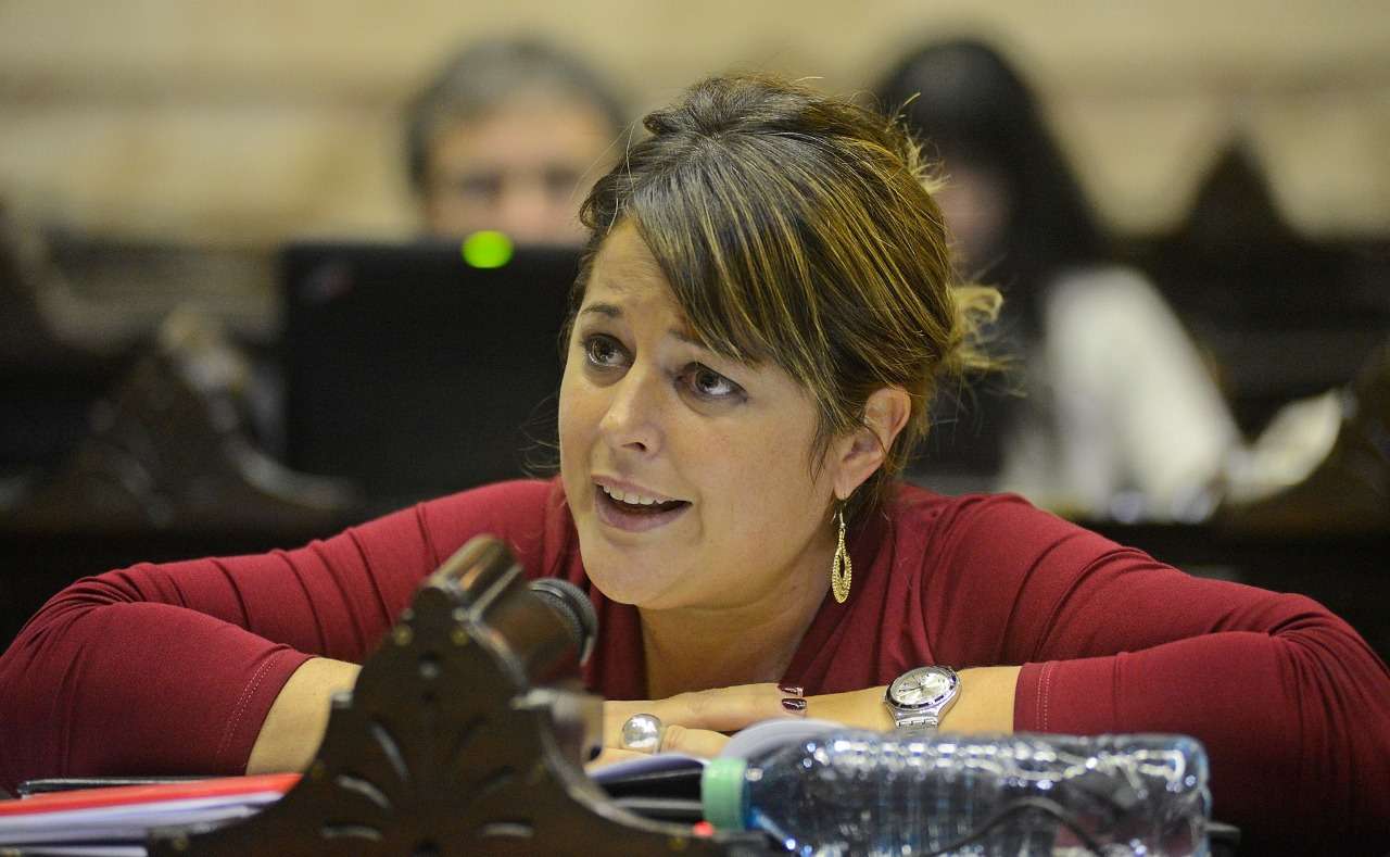 Gaillard criticó a diputados de la oposición por "no pensar en el sector turístico"