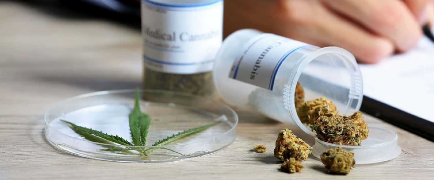 La provincia analiza producir y desarrollar cannabis medicinal