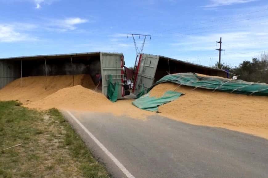 Volcó un camión lleno de cáscara de arroz y desparramó su carga sobre la ruta