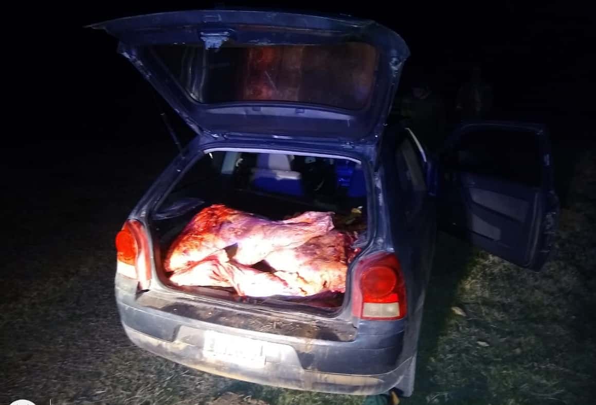 Sorprendieron a cuatro personas con una vaca faenada en el baúl de un auto