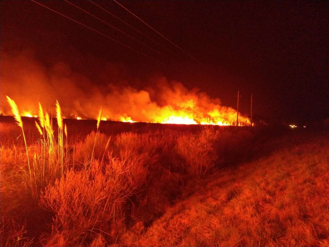 Bomberos de Ceibas sofocaron un importante incendio de pastizales en la Ruta 12
