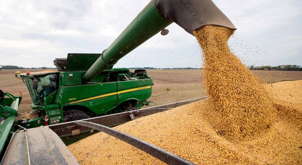 "Las medidas anunciadas no entrañan mejora alguna para el sector agropecuario"