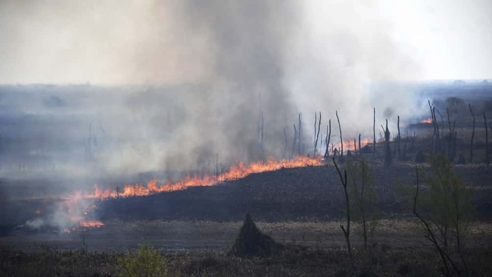 Cabandié: "Apagar un incendio en el Delta del Paraná cuesta 20 millones por día"