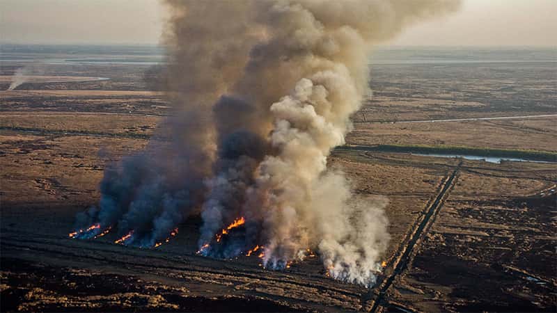 Piden que denuncien al gobierno entrerriano por los incendios en el Delta del Paraná