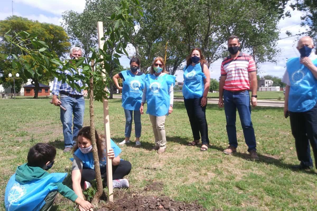Plantaron árboles nativos en el Monumento al Bicentenario
