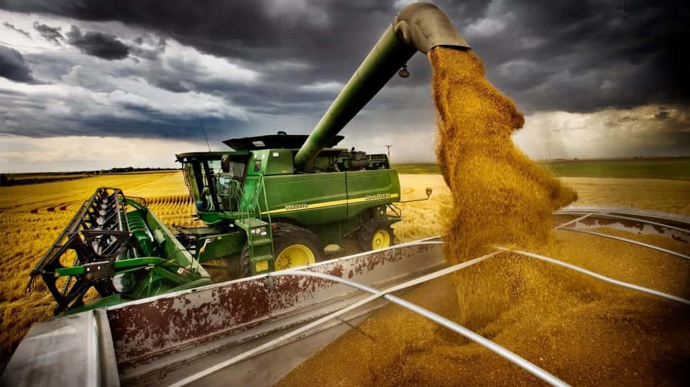 Entidades rurales anunciaron un cese de comercialización de granos