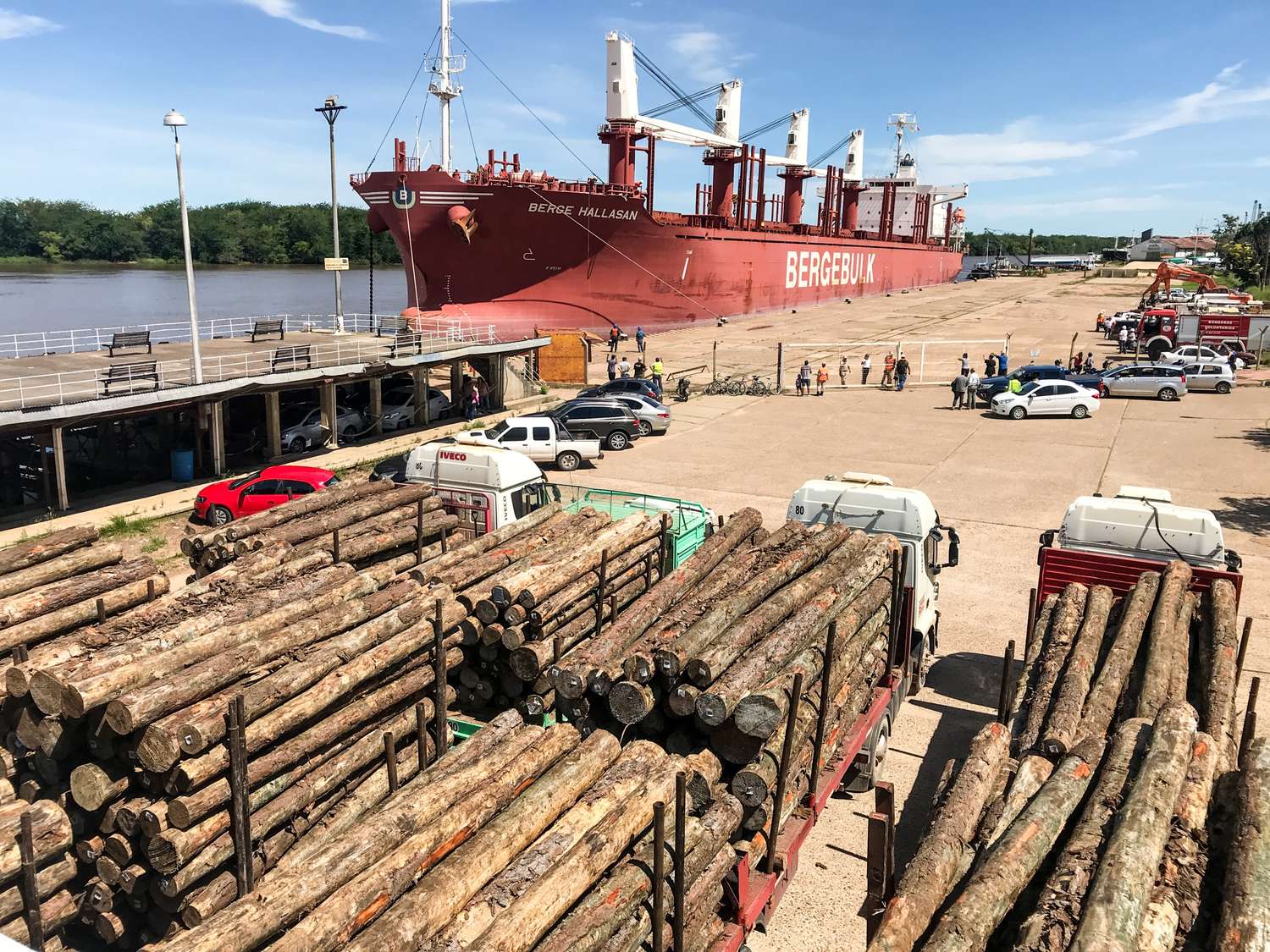 La exportación forestal desde los puertos entrerrianos generó más de $3.000 millones