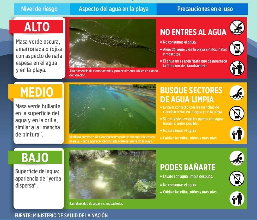 Aparecieron algas en el Río Gualeguaychú: ¿podemos meternos?