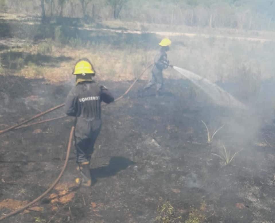 Incendio en un campo: los bomberos lograron evitar que el fuego afecte una vivienda