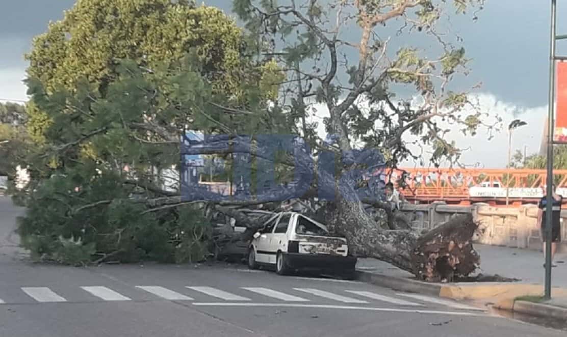 Un árbol aplastó dos autos en Costanera y la cola de un tornado realizó destrozos en Ñandubaysal