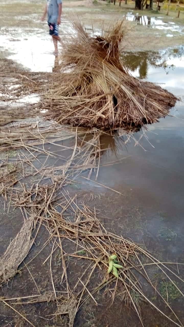 Las imágenes de la tormenta de viento y granizo que hizo destrozos en Ñandubaysal