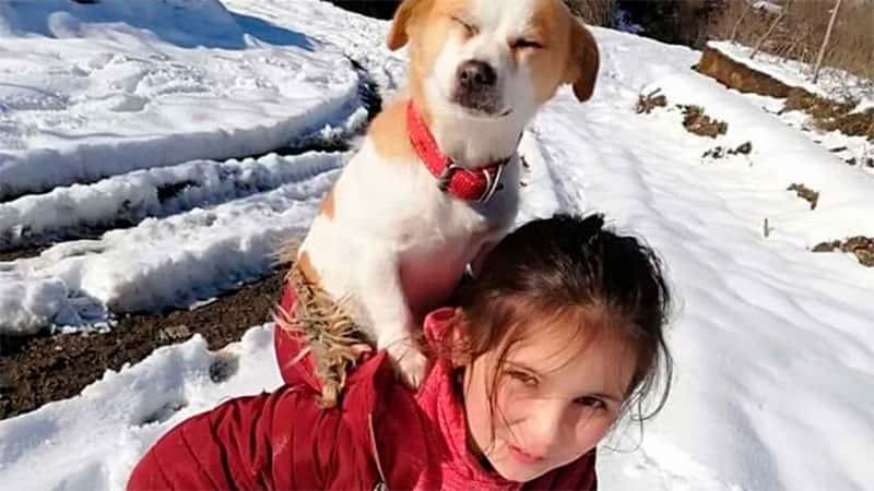Una niña caminó más de 2 kilómetros en la nieve para llevar su perro al veterinario