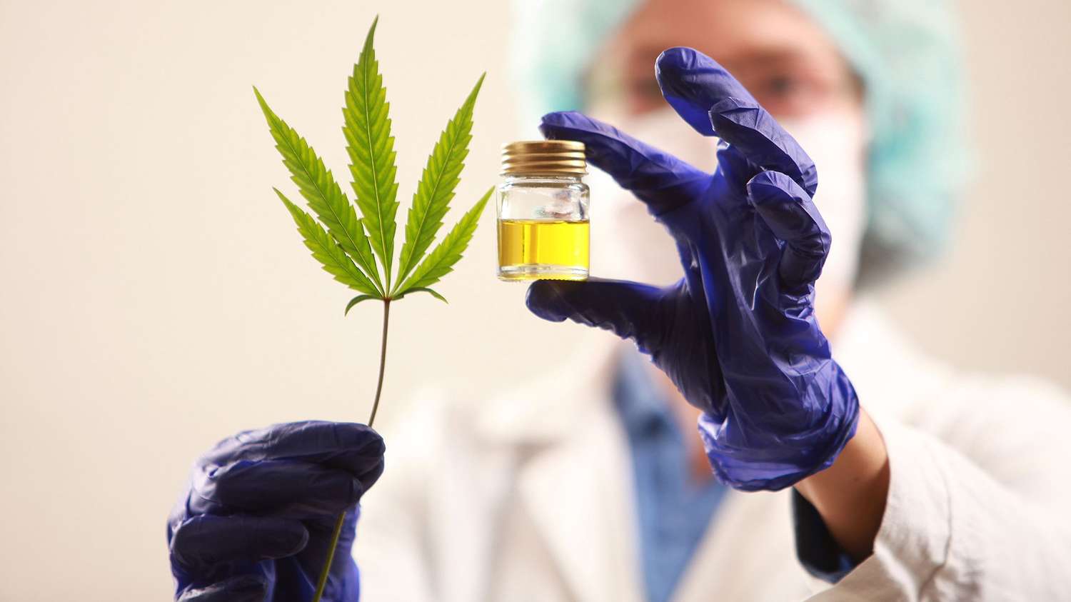 Cannabis Medicinal: Concejales del oficialismo plantearon la "necesidad de actualizar la normativa"