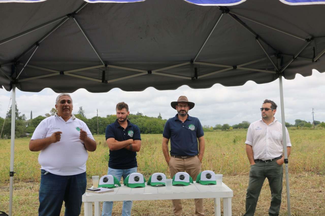 Presentaron un lote de soja orgánica de 38 hectáreas