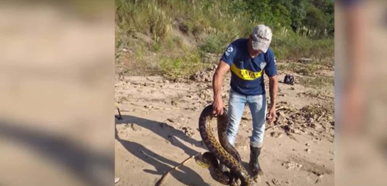 Estaban pescando en una playa entrerriana y se encontraron con una víbora gigante