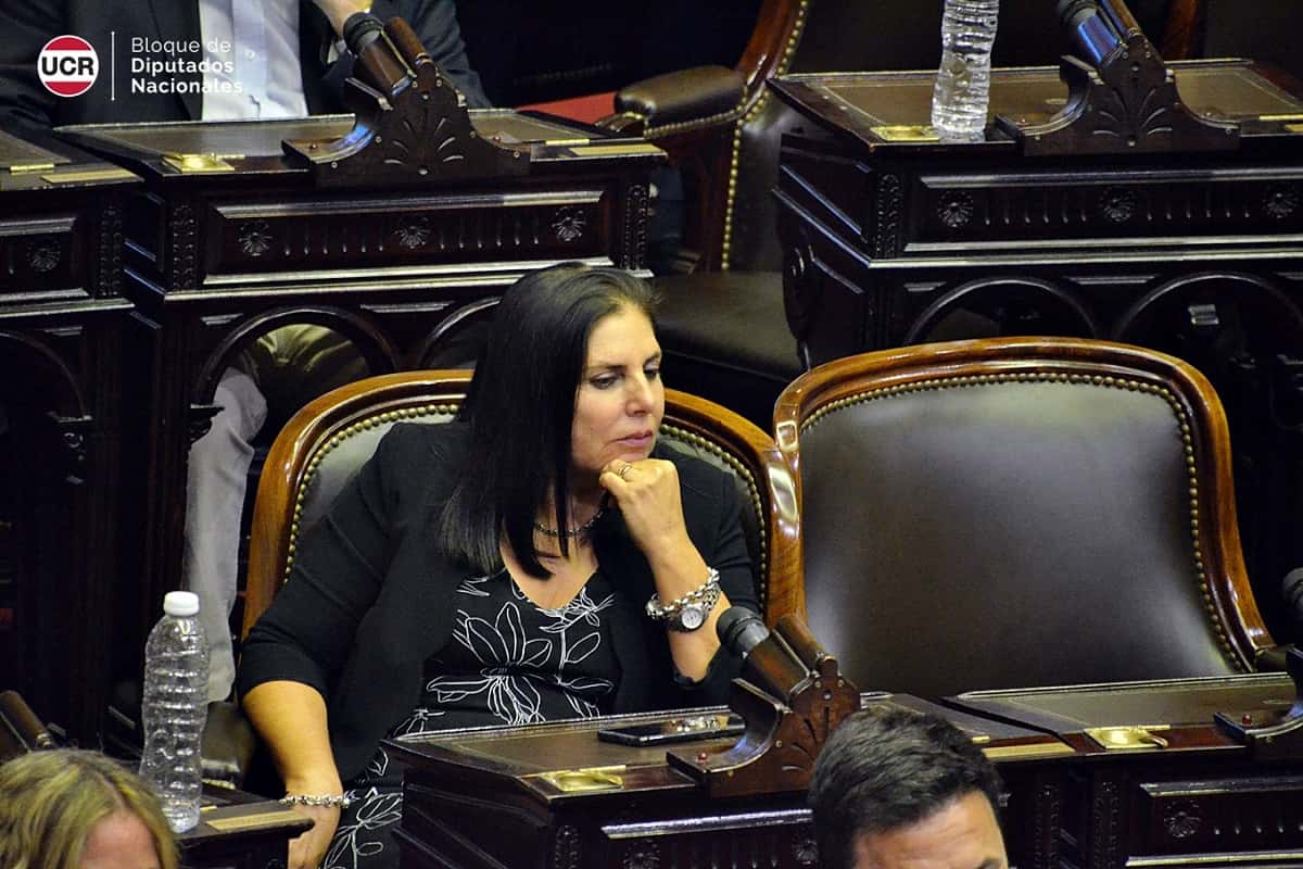 Afirman que Lena no pudo presidir la UCR de Entre Ríos por haber votado a favor del aborto