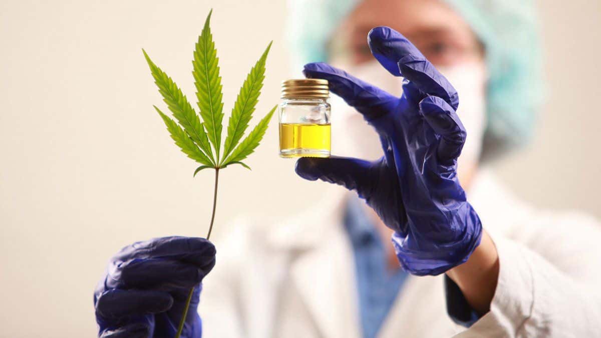 Provincia invertirá 1,7 millones de pesos para avances científicos en el cannabis medicinal