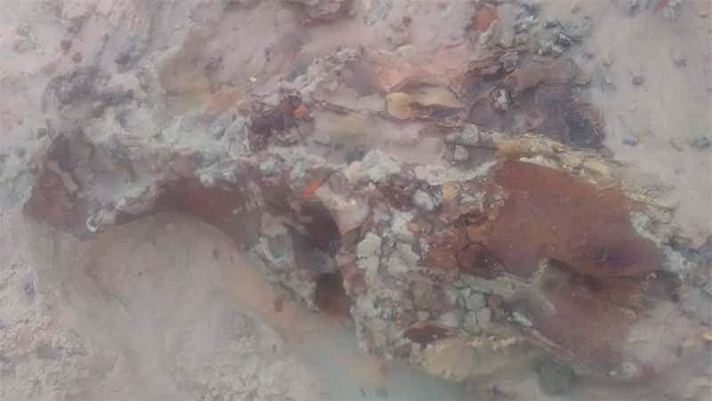 Al igual que en Gualeguaychú, hallaron restos fósiles en San José