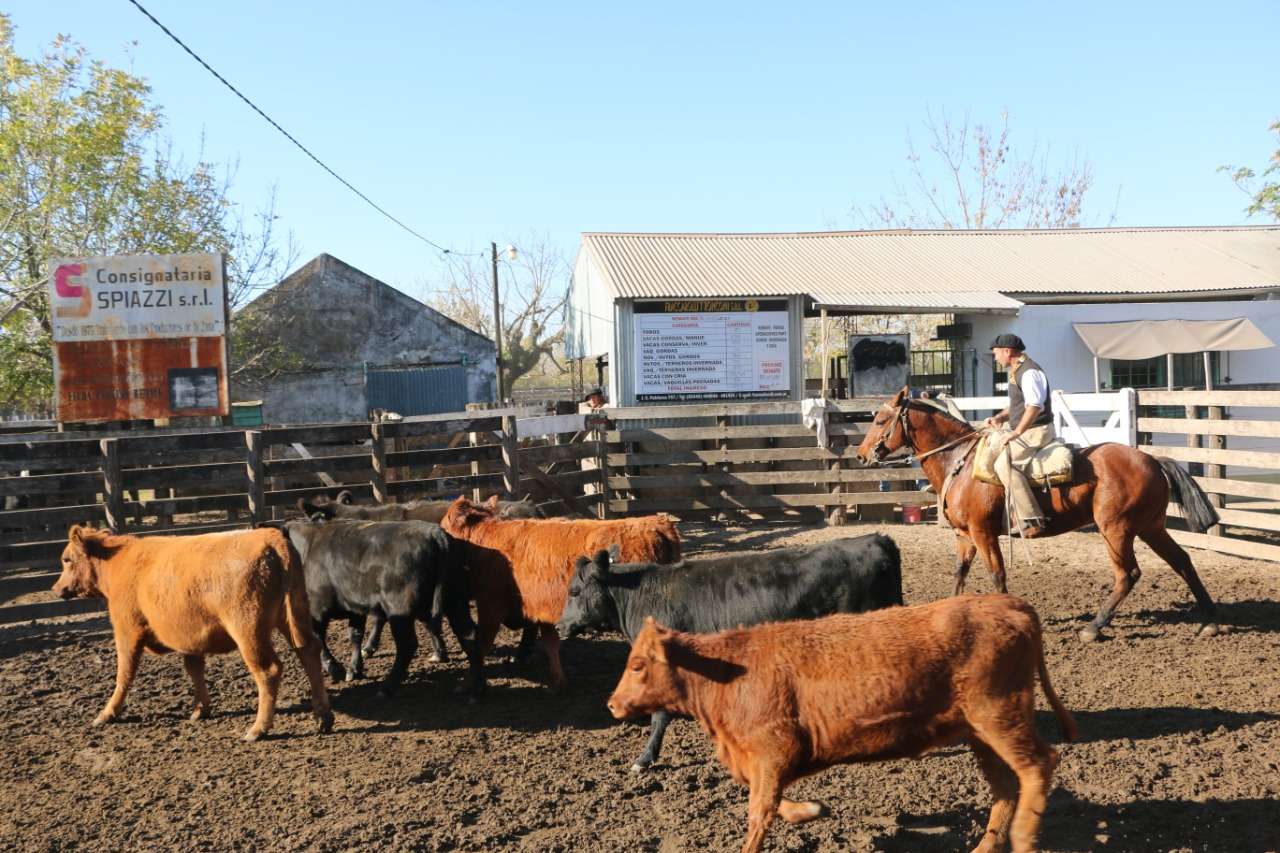 Los referentes del campo de Gualeguaychú rechazaron el cierre de las exportaciones de carne