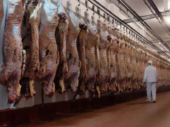 La FAA de Gualeguaychú reaccionó en contra de la apertura parcial de las exportaciones de carne