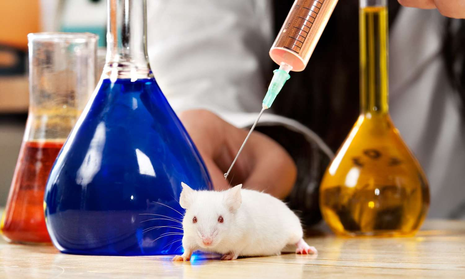 Científicos lograron erradicar el cáncer con metástasis en ratones y perros