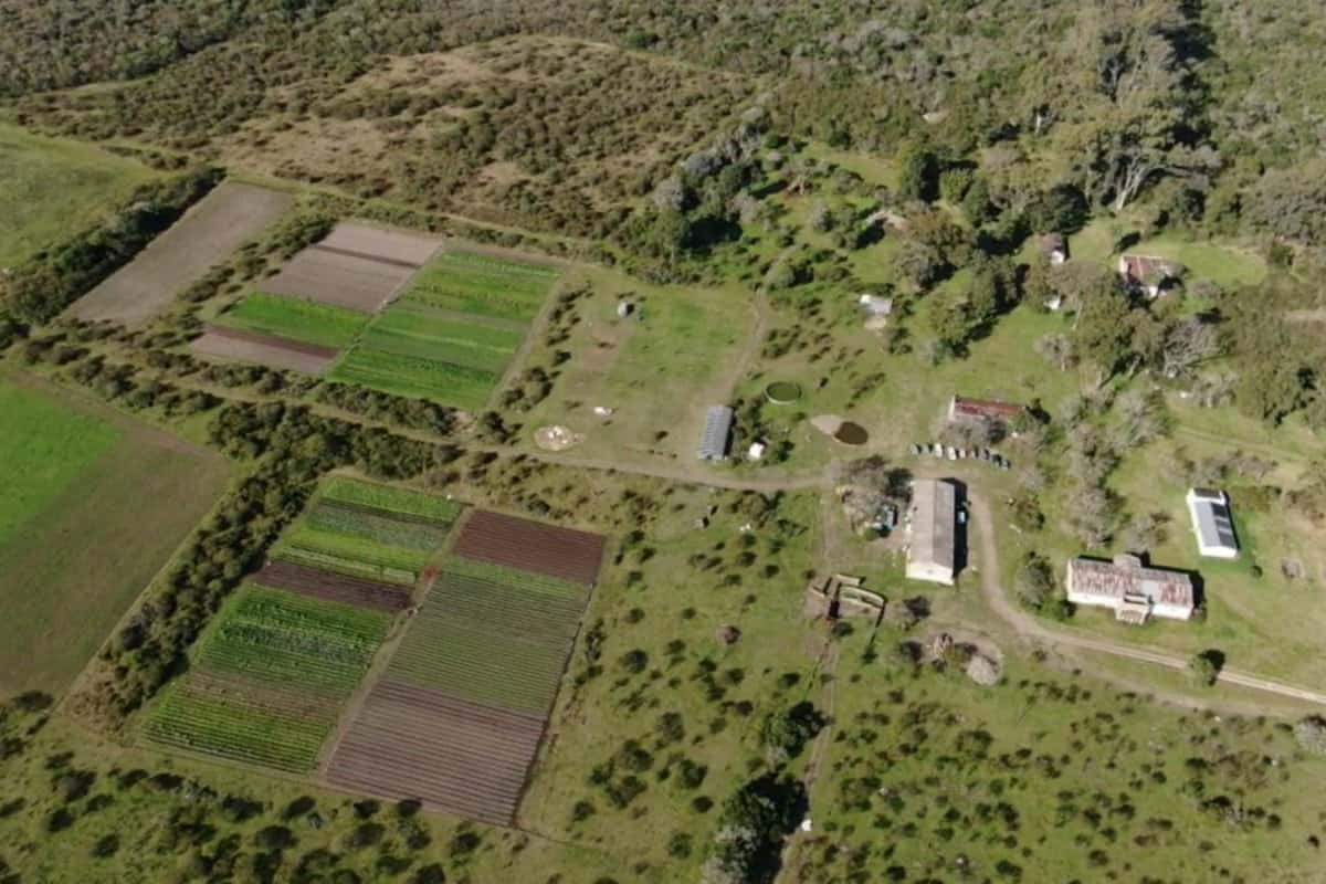Diez familias producirán alimentos agroecológicos en la reserva Las Piedras