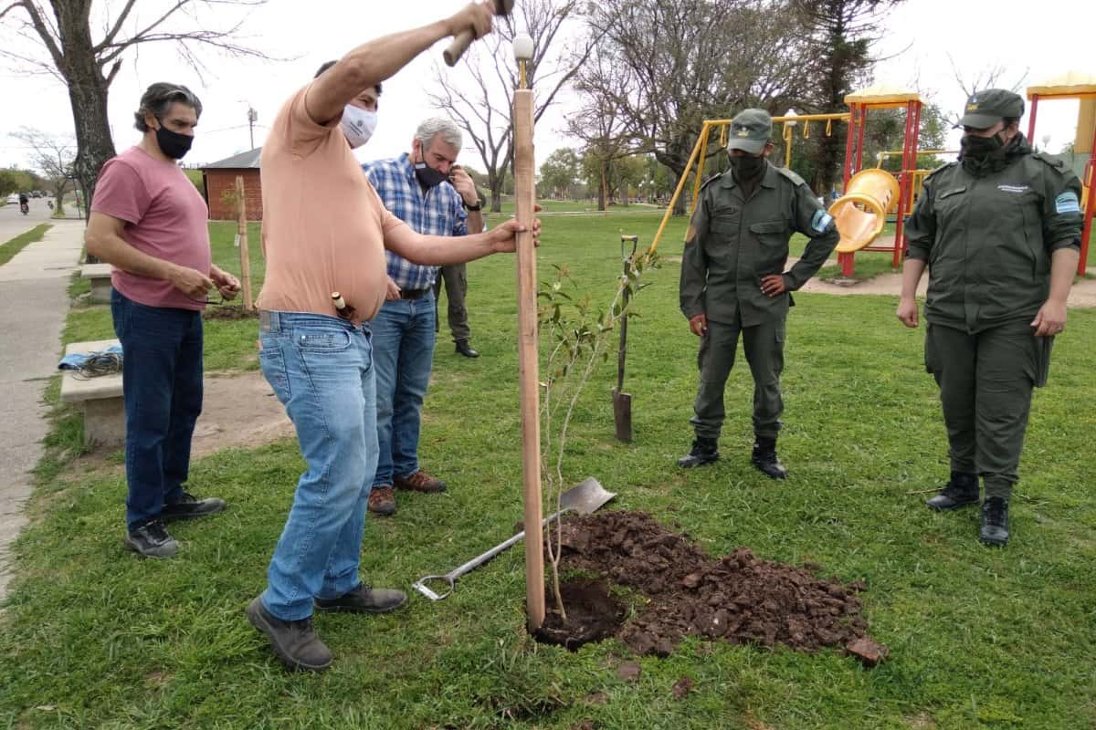 Municipalidad y Gendarmería plantaron 30 árboles nativos en Costanera del Tiempo