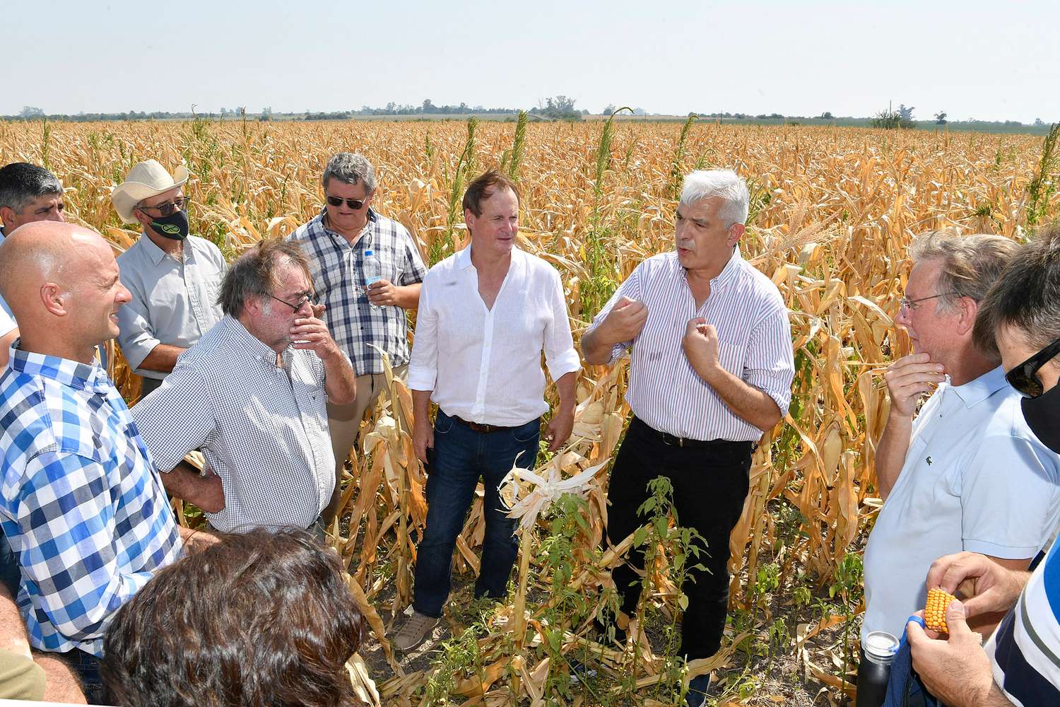 El gobierno convocó a las entidades agropecuarias para evaluar medidas ante la sequía