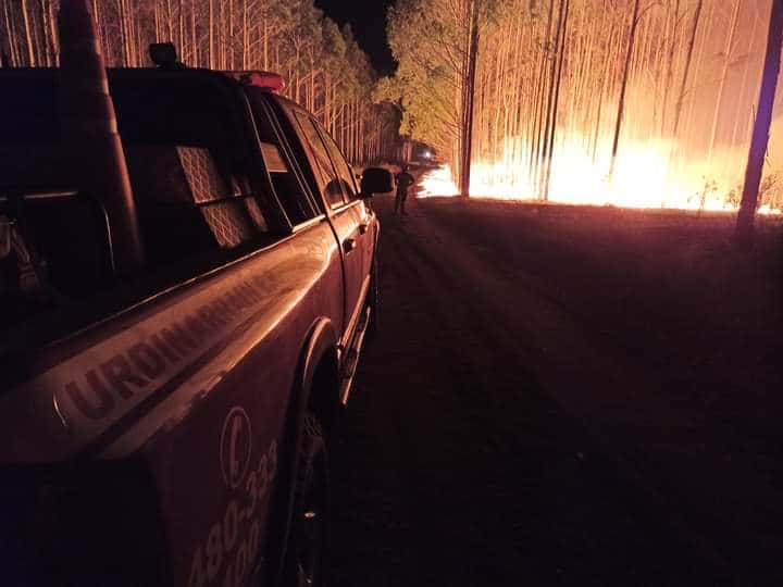 Fuego en Estancia El Potrero: las llamas habrían dañado cerca de 200 hectáreas forestales