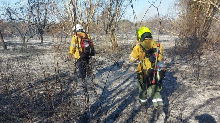 Vuelve a arder todo frente a la costanera de Paraná: bomberos trabajan para controlar los incendios