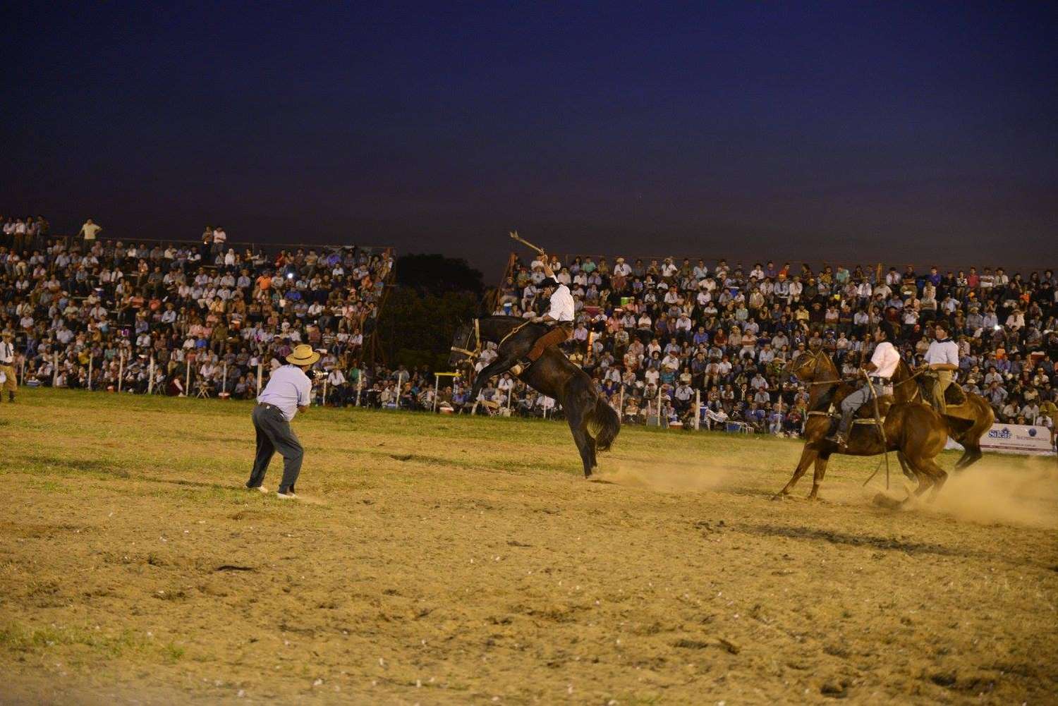Polémica por la caída y la reacción de un caballo en el Festival de Jineteada de Diamante