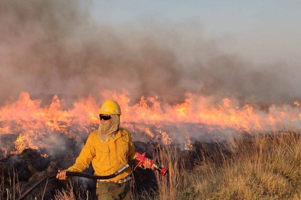 Incendios en Corrientes: estiman pérdidas por más de 26.000 millones de pesos