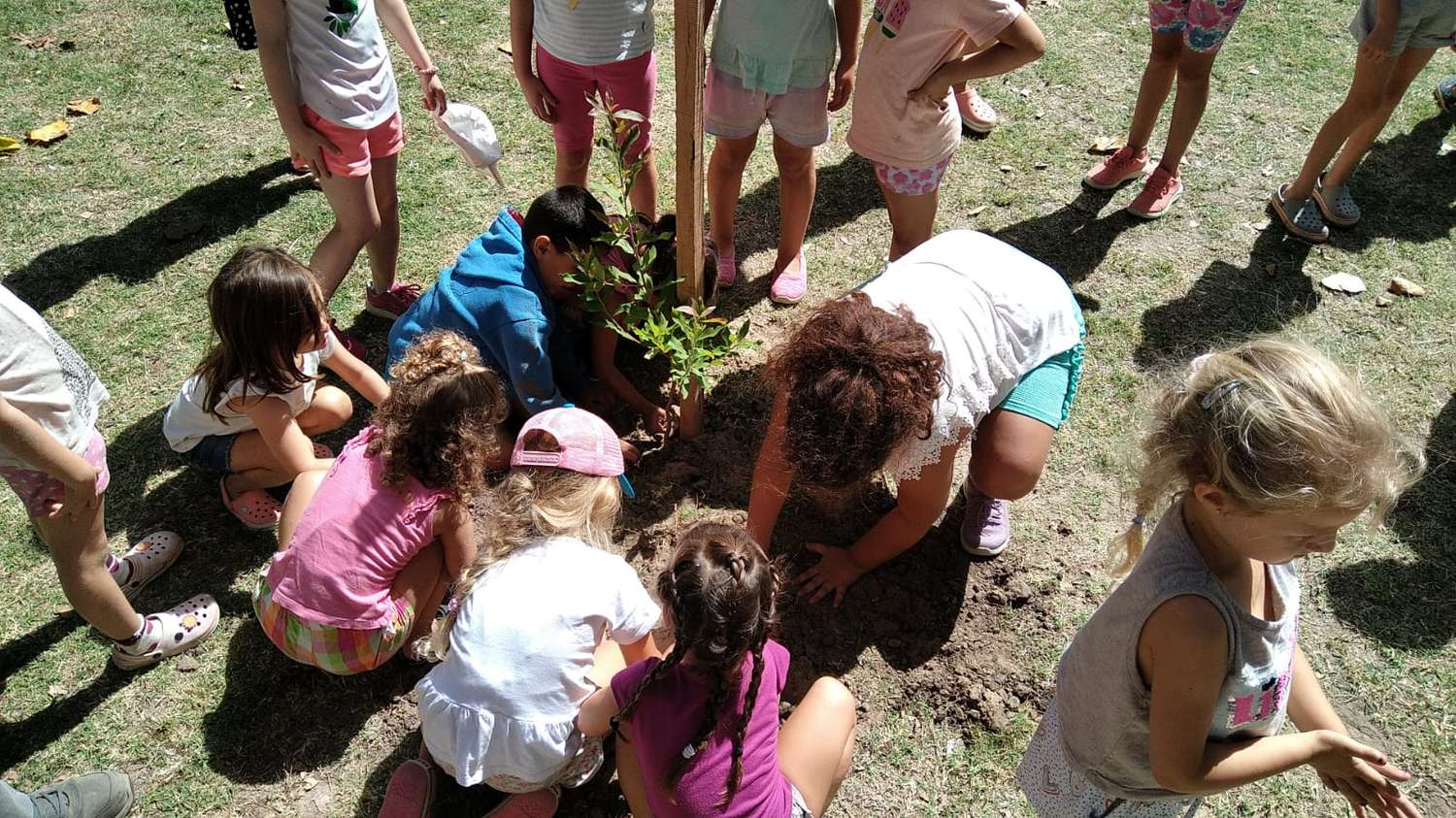 Decenas de chicos plantaron árboles en el Parque Unzué